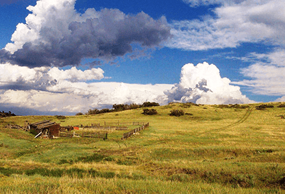 Highlands-Ranch-1
